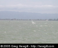 Sailing in the harbour
