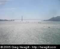 Spinnakers under the bridge