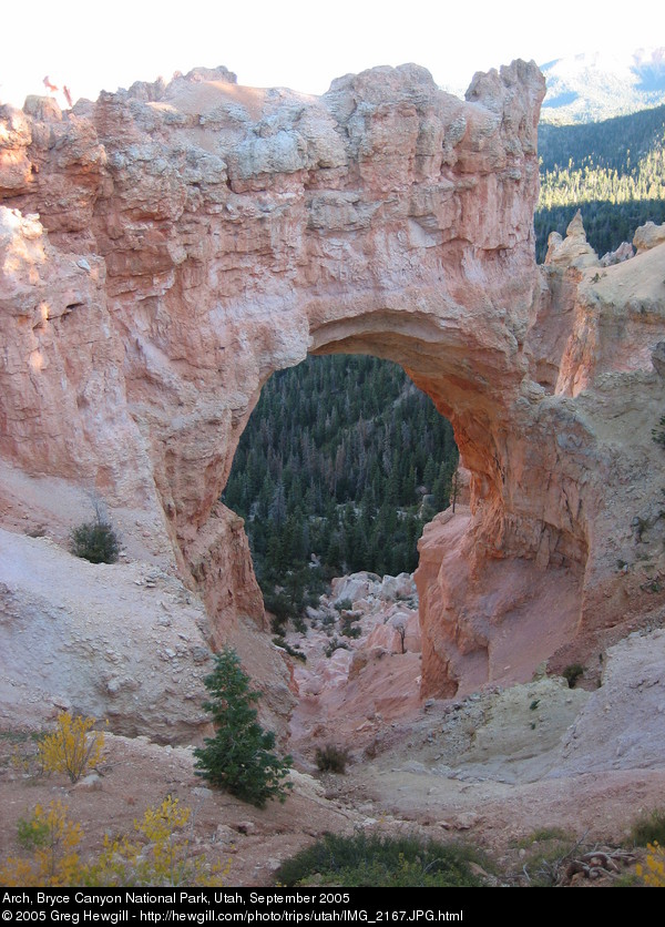 Arch